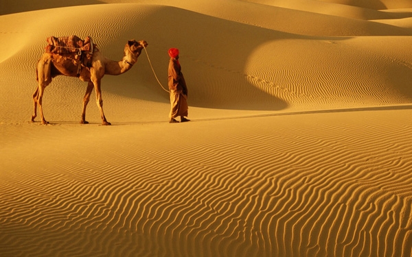 Visit Royal Rajasthan