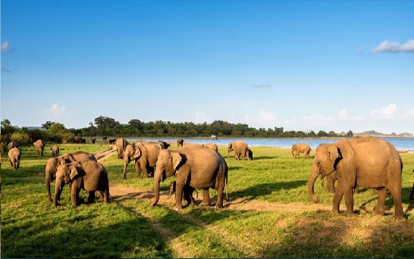 Sri Lanka