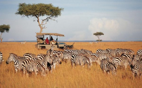 Masai Mara