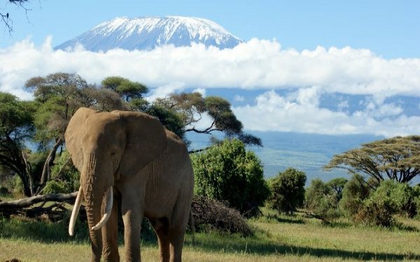 Mount Kilimanjaro